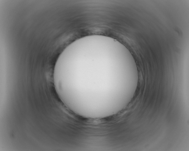 X0000114720181200910211059