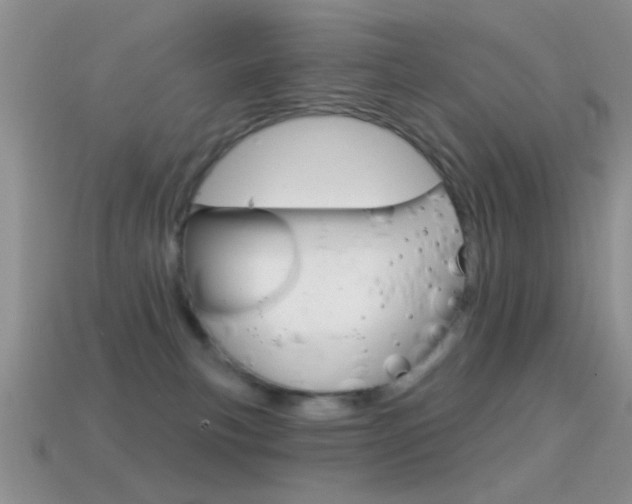 X0000114720183200910211059