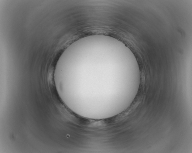 X0000114720185200910211059