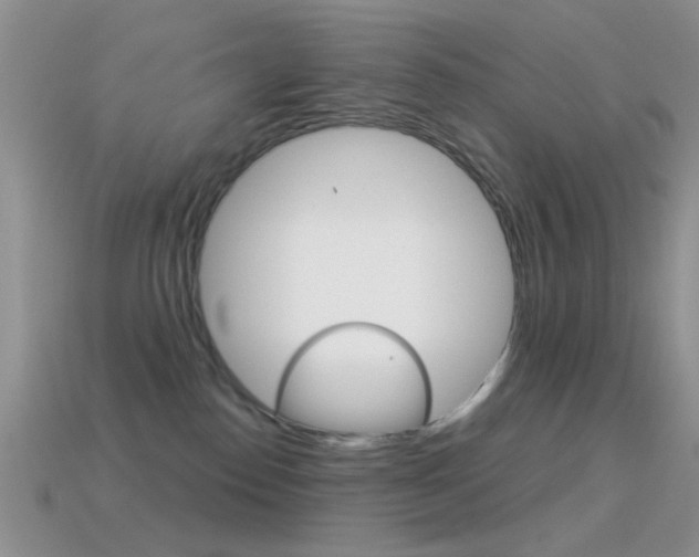 X0000114720186200910211059