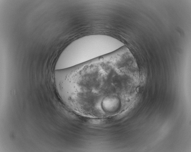 X0000114720187200910211059