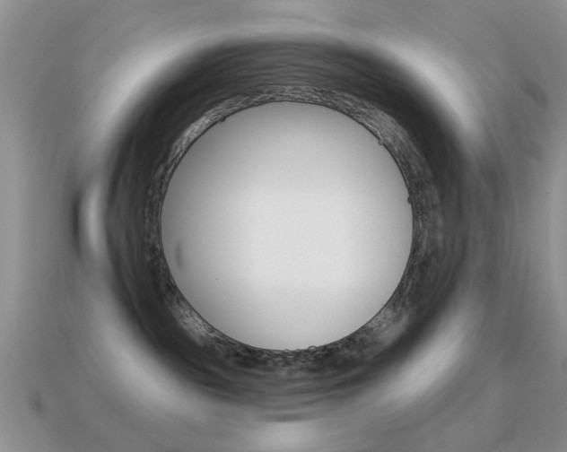 X0000114720189200910211059