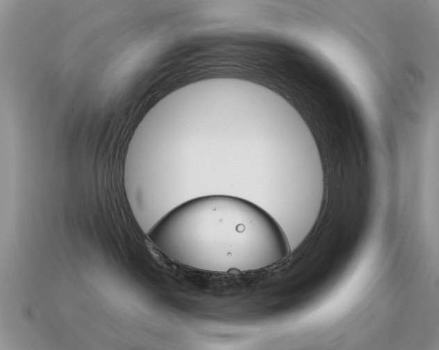 X0000114720190200910211059