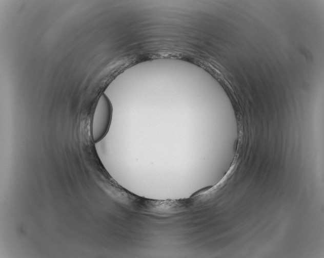 X0000114720191200910211059