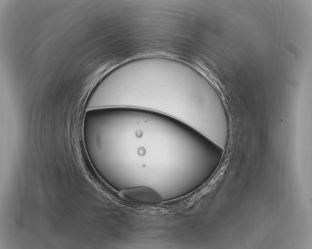 X0000114720193200910211059