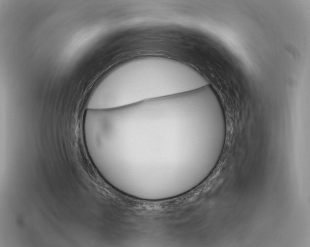 X0000114720194200910211059