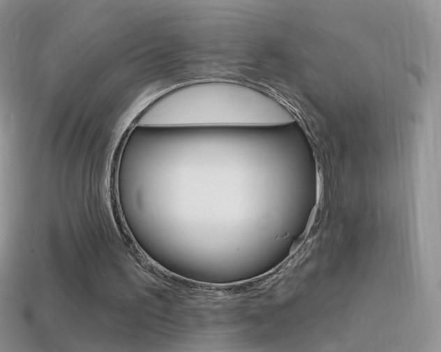 X0000114720195200910211059