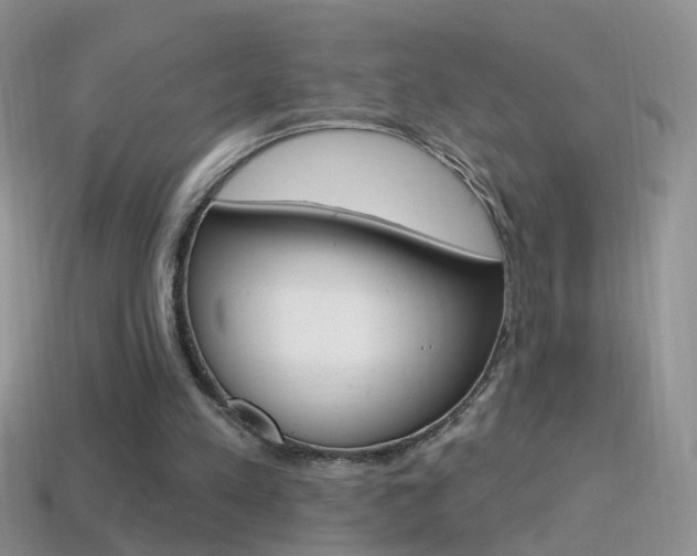 X0000114720197200910211059