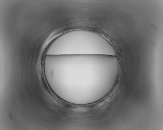 X0000114720198200910211059