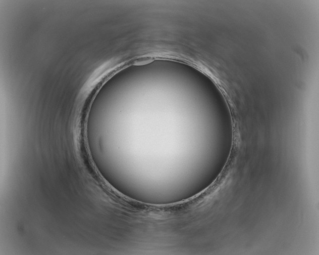 X0000114720199200910211059