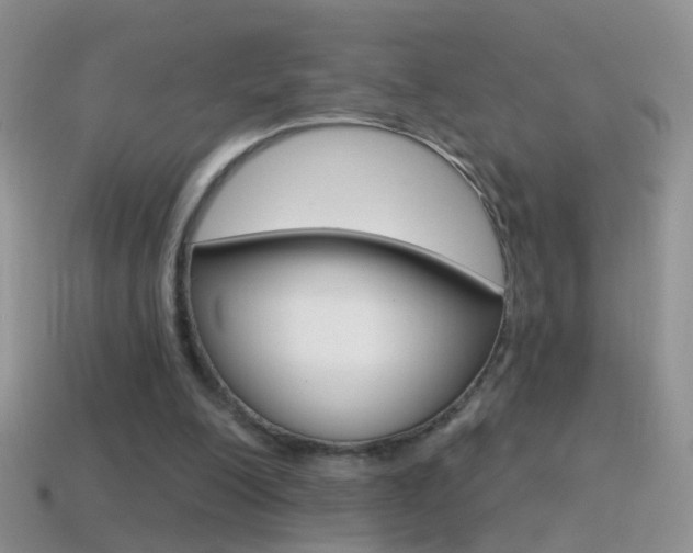 X0000114720200200910211059