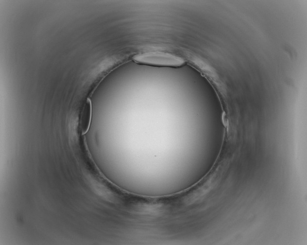 X0000114720201200910211059