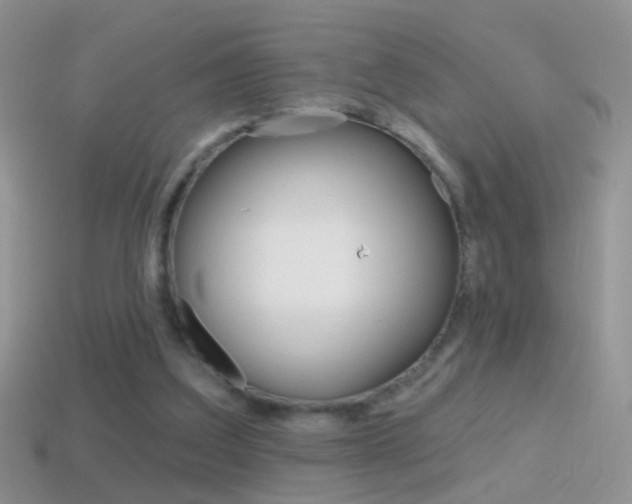 X0000114720203200910211059