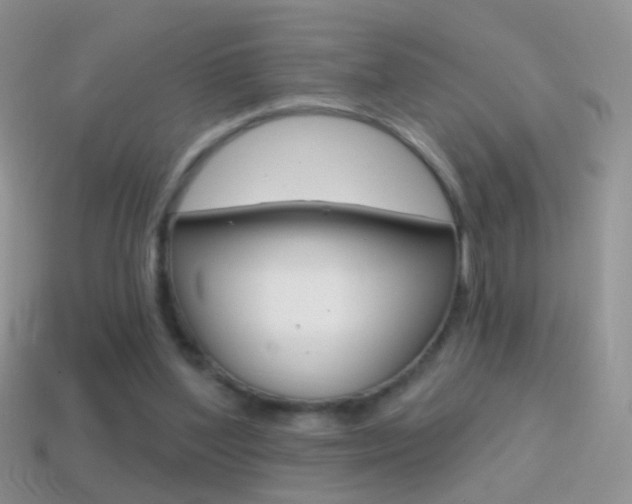 X0000114720204200910211059