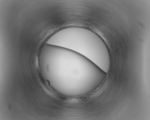 X0000114720205200910211059