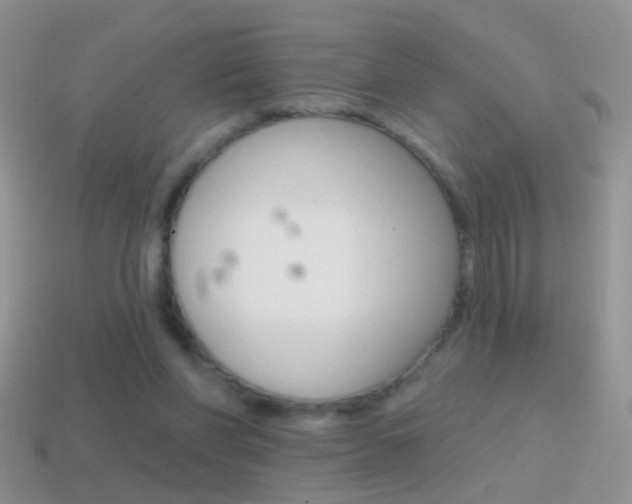 X0000114720206200910211059