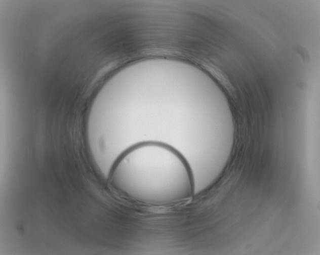 X0000114720207200910211059