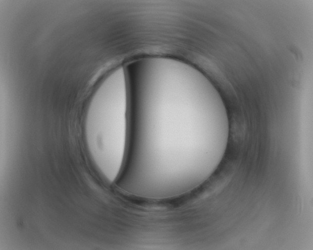 X0000114720208200910211059