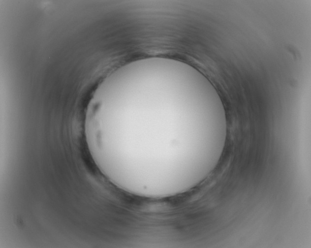 X0000114720210200910211059