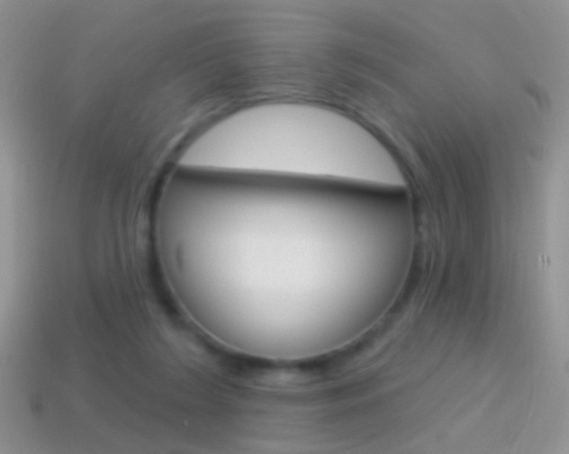 X0000114720212200910211058