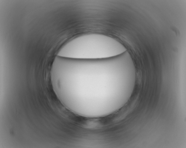 X0000114720214200910211058