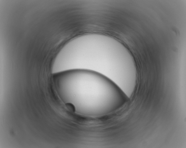 X0000114720215200910211058