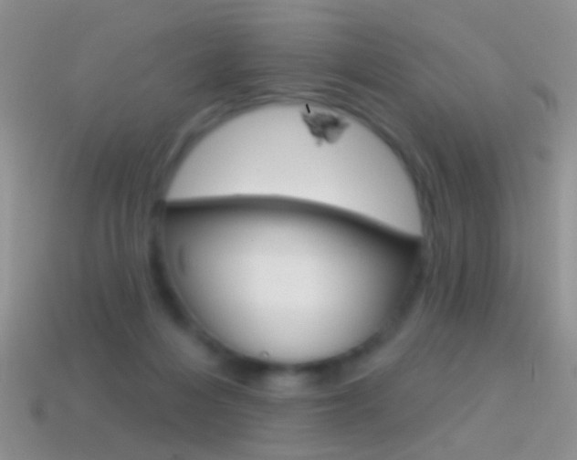 X0000114720216200910211058