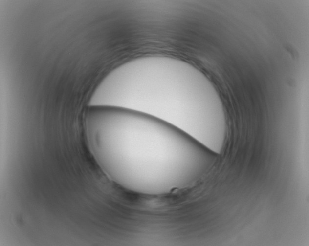 X0000114720221200910211058