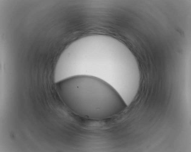 X0000114720223200910211058