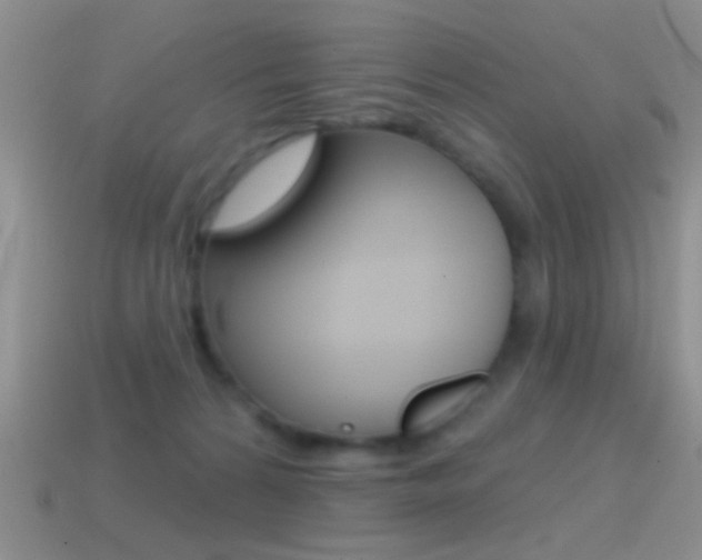 X0000114720224200910211058