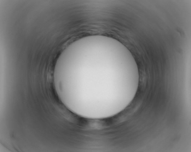 X0000114720226200910211058