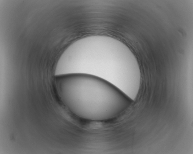 X0000114720227200910211058