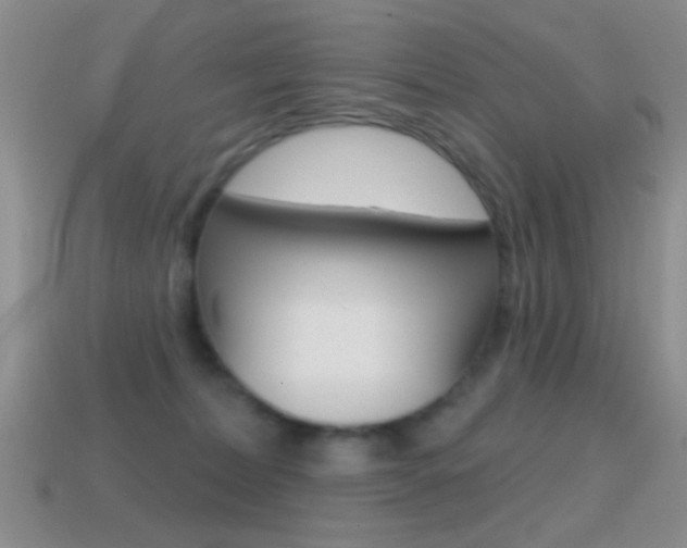 X0000114720228200910211058