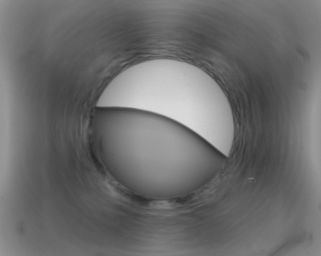 X0000114720231200910211058