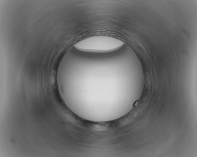 X0000114720232200910211058