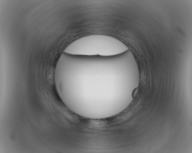 X0000114720234200910211058