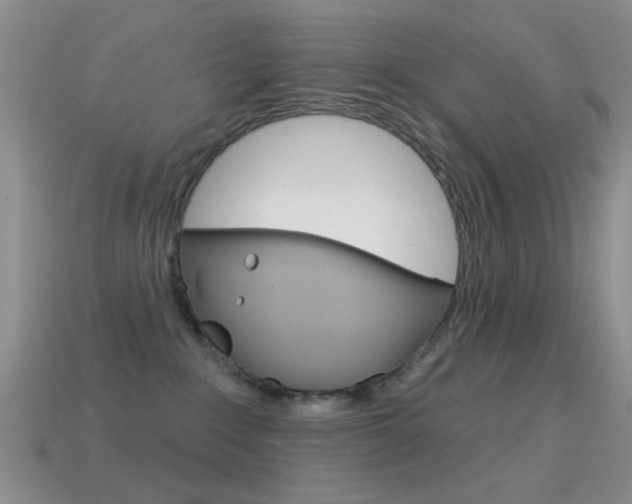 X0000114720235200910211058