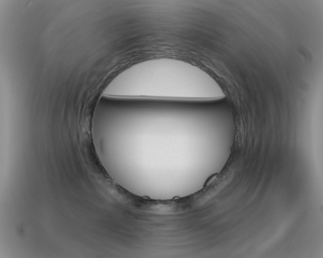 X0000114720236200910211058