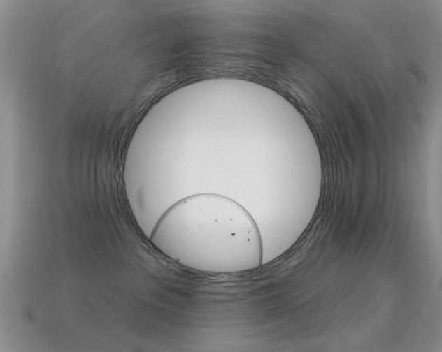 X0000114720237200910211058