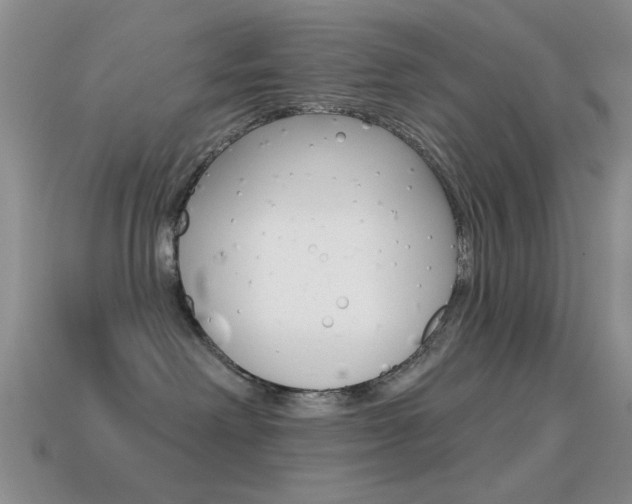 X0000114720238200910211058