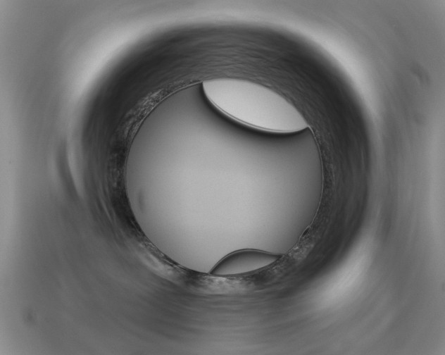 X0000114720239200910211058