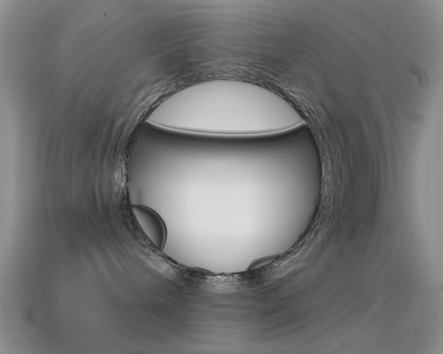 X0000114720240200910211058