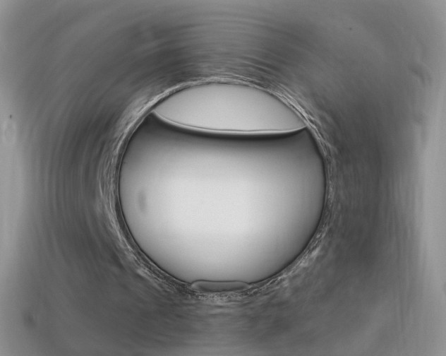 X0000114720241200910211058