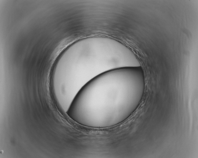 X0000114720242200910211058