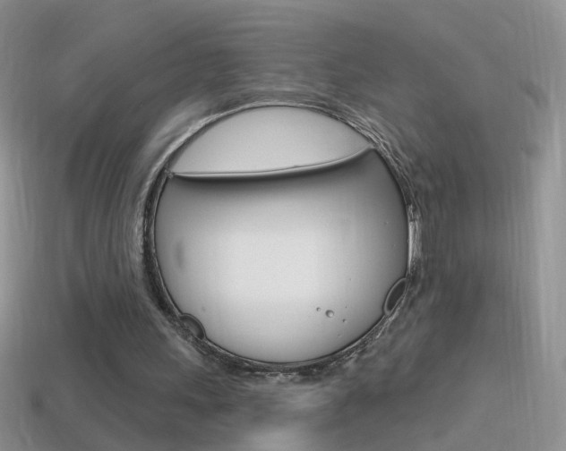 X0000114720243200910211058