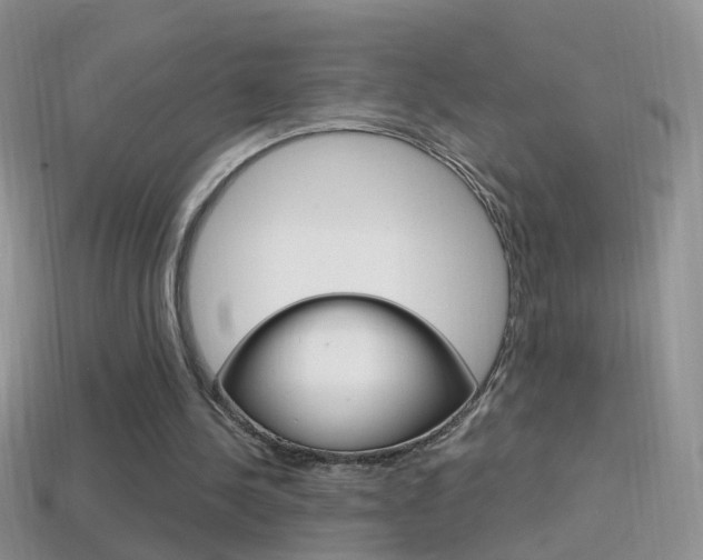 X0000114720244200910211058