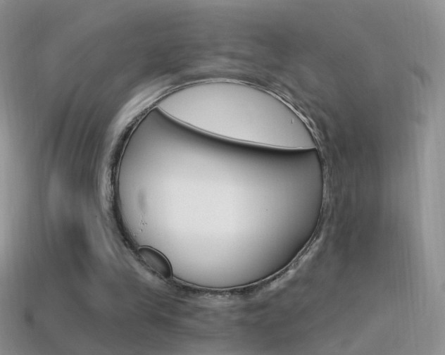 X0000114720245200910211058