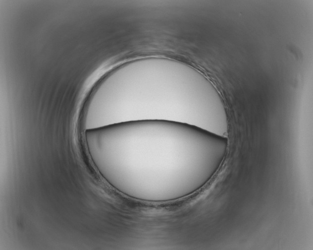 X0000114720246200910211058