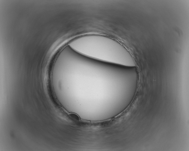 X0000114720247200910211058