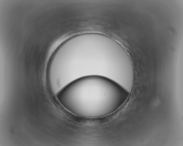 X0000114720248200910211058